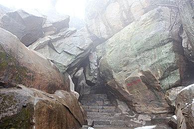 Game Pass 8月游戏阵容公开 《幽灵行动：荒野》现已加入